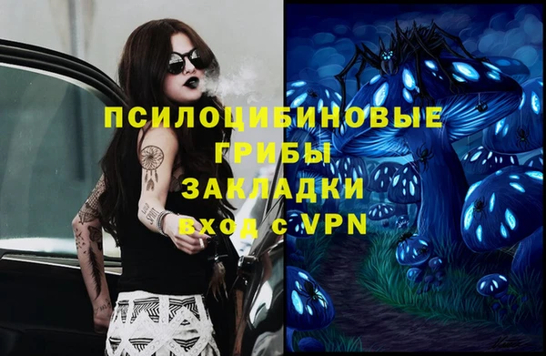 мяу мяу мука Елабуга