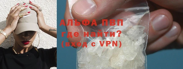 мяу мяу мука Елабуга