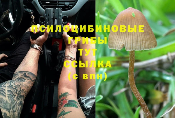 мяу мяу мука Елабуга