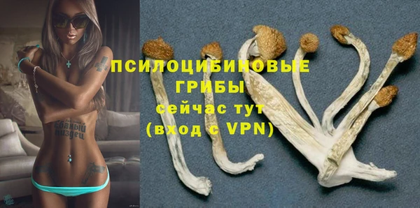 мяу мяу мука Елабуга